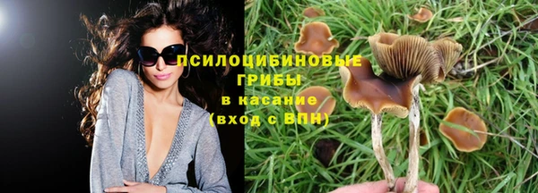 прущий лед Иннополис